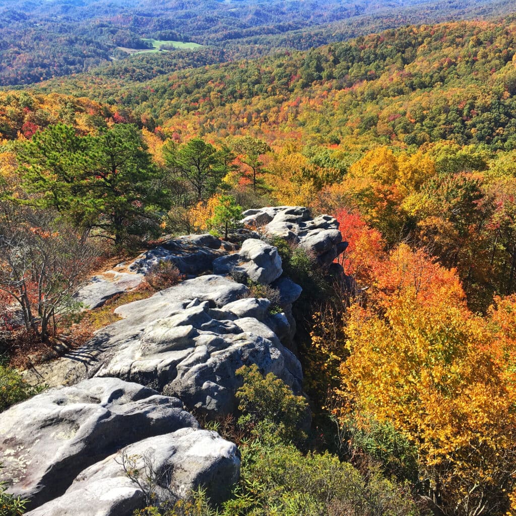 landscaoe opioid rehab
